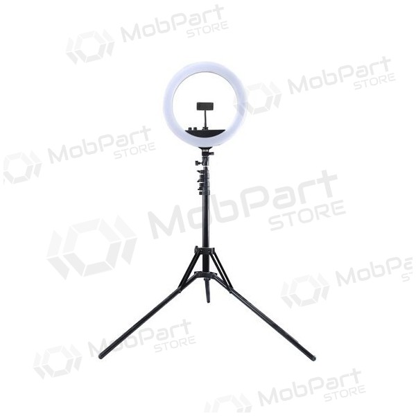 LED žiedinė lampada 34.5cm, su trikoju stovu iki 1.85m, veidrodžiu e telefono laikikliu, USB LED žiedinė lampada 34.5cm, su trikoju stovu iki 1.85m, veidrodžiu e telefono laikikliu, USB