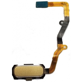 Samsung G935F Galaxy S7 Edge HOME connettore pulsante (d'oro)