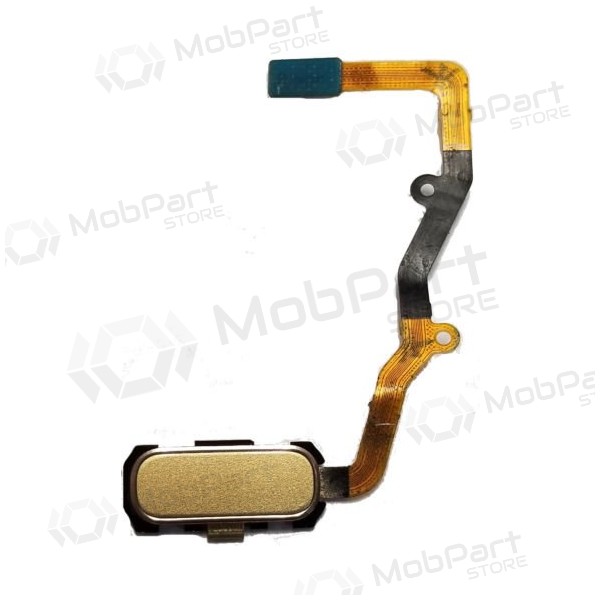 Samsung G935F Galaxy S7 Edge HOME connettore pulsante (d'oro) Samsung G935F Galaxy S7 Edge HOME connettore pulsante (d'oro)