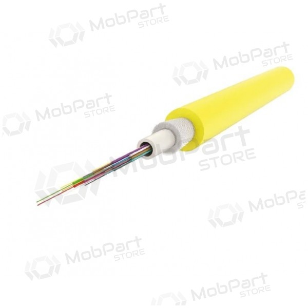 EFB Infralan cavo ottico I-B(ZN)BH 24G (24 fibre, single mode, 9/125 MM, LSZH, B2ca)