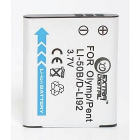Panasonic VW-VBX090 foto batteria / accumulatore