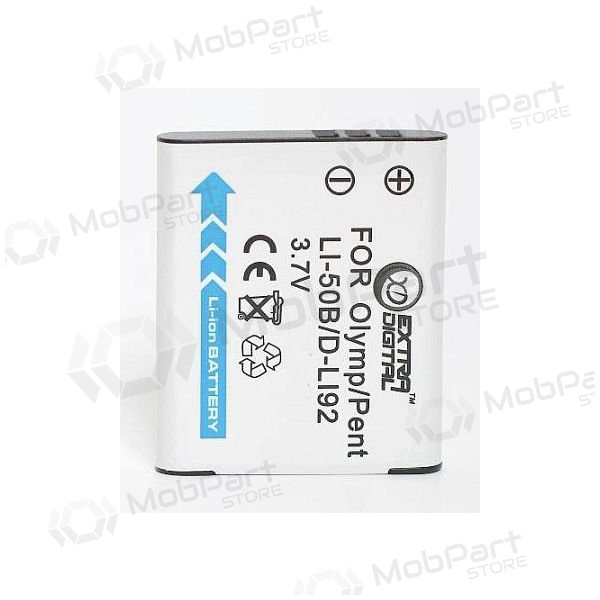 Panasonic VW-VBX090 foto batteria / accumulatore Panasonic VW-VBX090 foto batteria / accumulatore