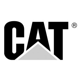 Schermi del telefono CAT